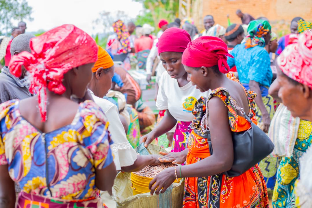 5 Quartiers urbains/périurbains